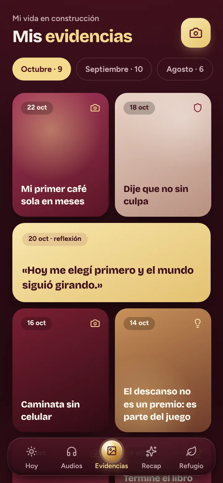 Álbum de evidencias